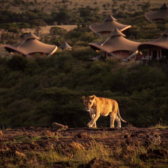 Cradle of Life - Africa Safaris & Expeditions